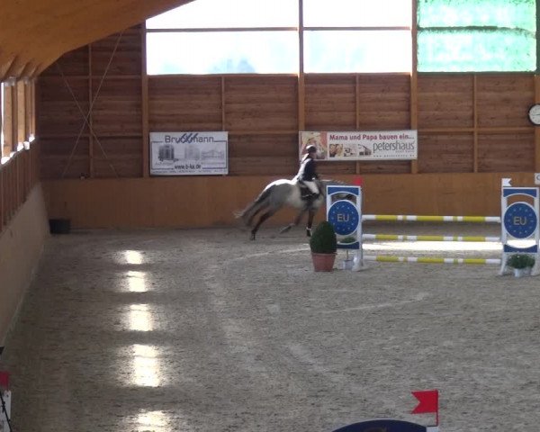 Reitturnier Xanten 2019