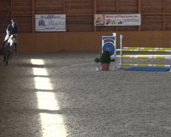Reitturnier Xanten 2019