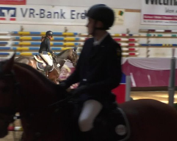 Reitturnier Eicherloh RH Laurent/Obb. 2019