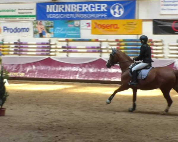 Reitturnier Eicherloh RH Laurent/Obb. 2019