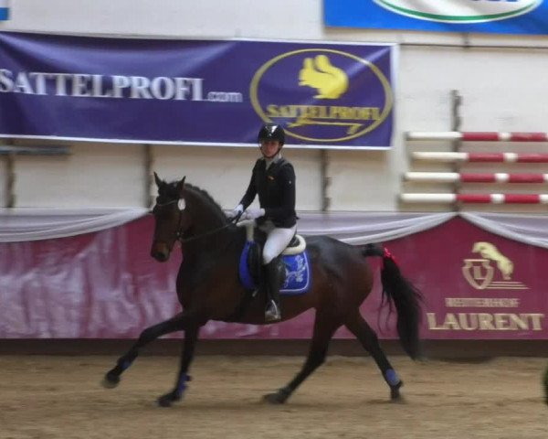 Reitturnier Eicherloh RH Laurent/Obb. 2019