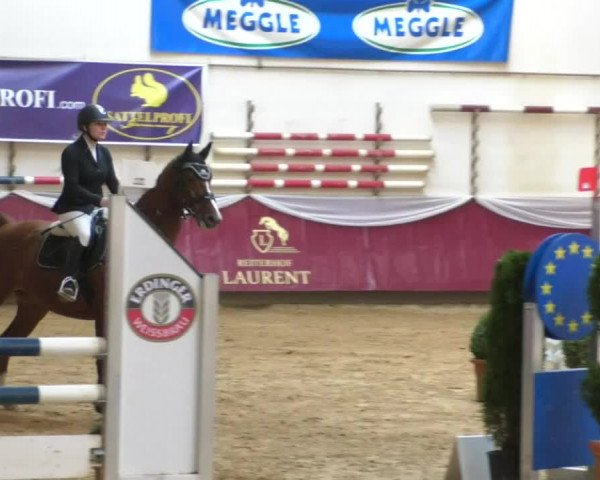 Reitturnier Eicherloh RH Laurent/Obb. 2019