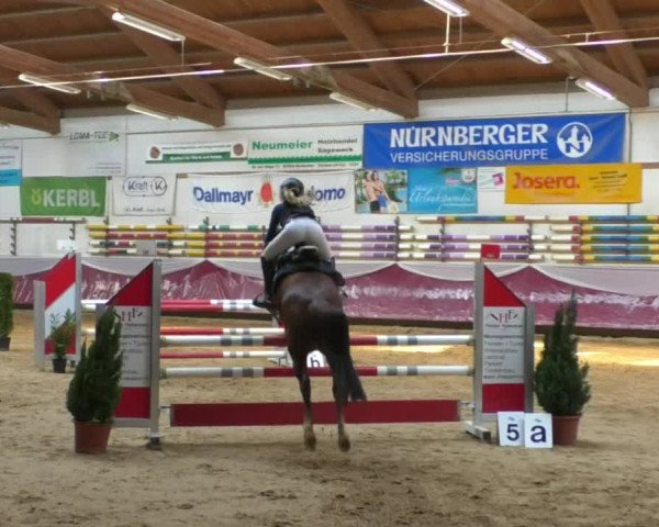 Reitturnier Eicherloh RH Laurent/Obb. 2019