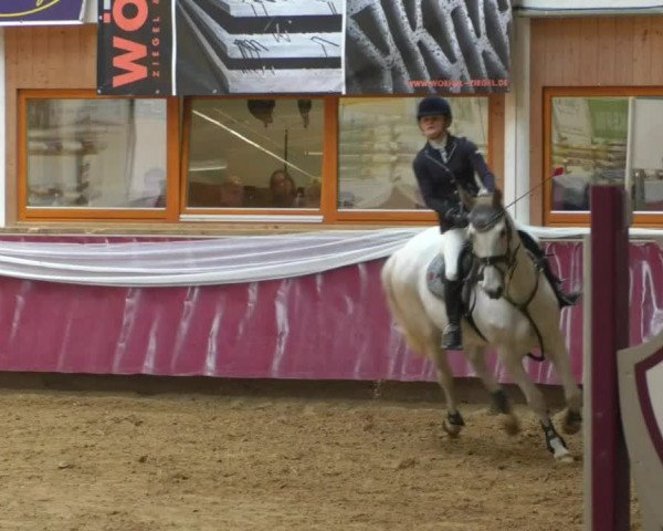 Reitturnier Eicherloh RH Laurent/Obb. 2019