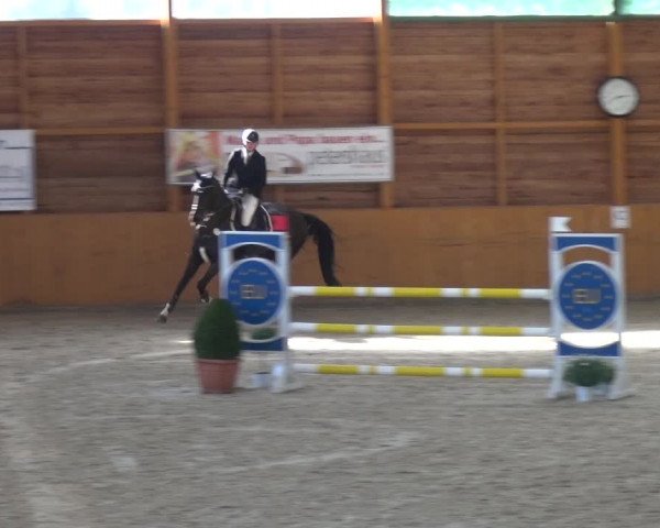 Reitturnier Xanten 2019
