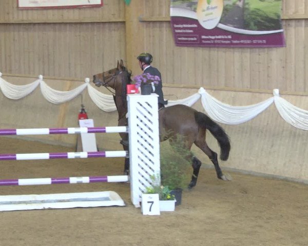 Reitturnier Friedrichshafen - Ailingen 2019