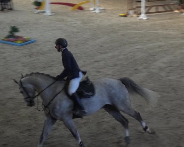 Reitturnier Xanten 2019