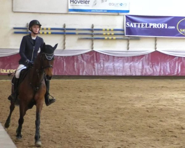 Reitturnier Eicherloh RH Laurent/Obb. 2019