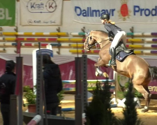 Reitturnier Eicherloh RH Laurent/Obb. 2019