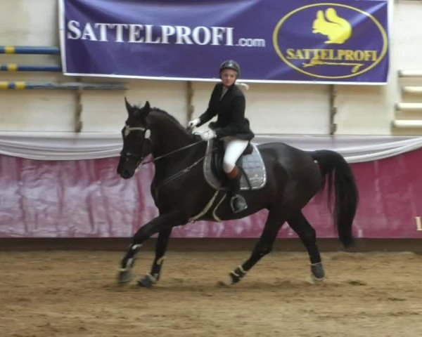 Reitturnier Eicherloh RH Laurent/Obb. 2019
