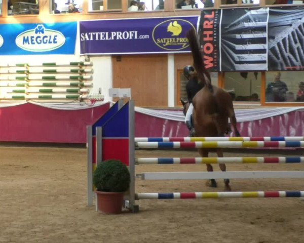 Reitturnier Eicherloh RH Laurent/Obb. 2019