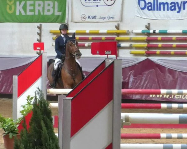 Reitturnier Eicherloh RH Laurent/Obb. 2019