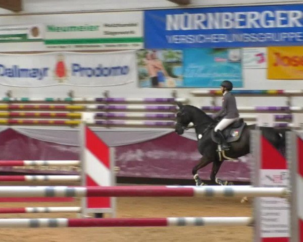 Reitturnier Eicherloh RH Laurent/Obb. 2019