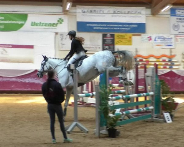 Reitturnier Eicherloh RH Laurent/Obb. 2019
