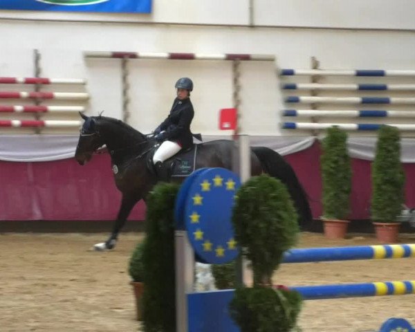 Reitturnier Eicherloh RH Laurent/Obb. 2019