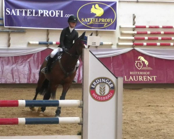 Reitturnier Eicherloh RH Laurent/Obb. 2019