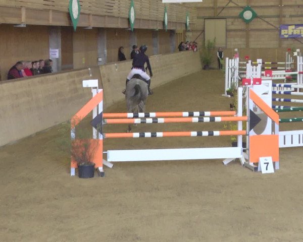Reitturnier Friedrichshafen - Ailingen 2019