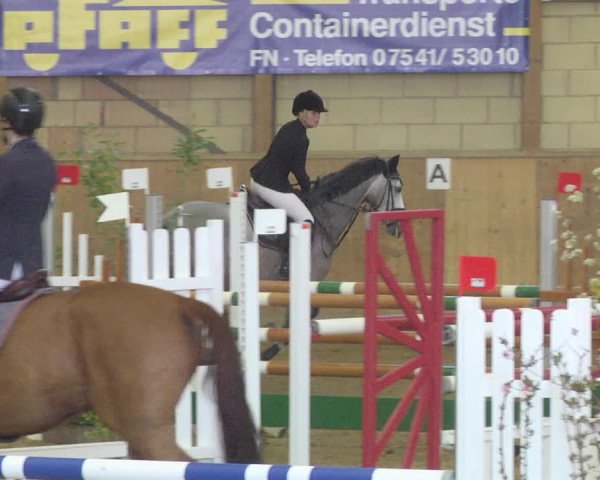 Reitturnier Friedrichshafen - Ailingen 2019