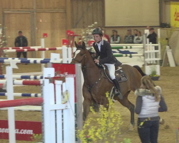 Reitturnier Friedrichshafen - Ailingen 2019