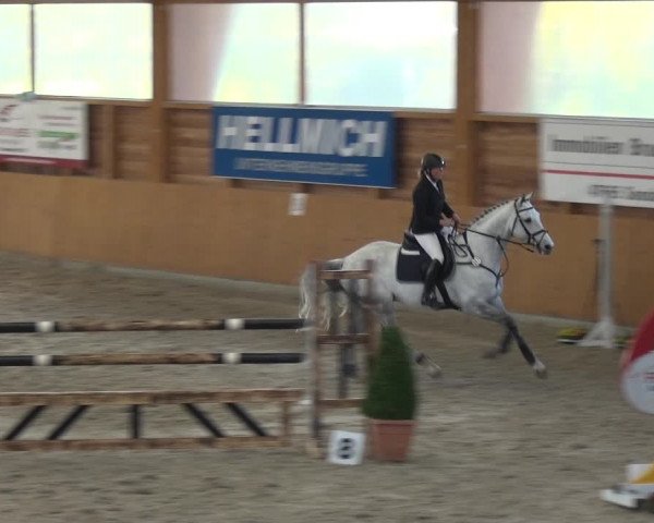 Reitturnier Xanten 2019