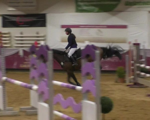 Reitturnier Eicherloh RH Laurent/Obb. 2019
