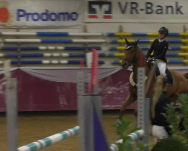 Reitturnier Eicherloh RH Laurent/Obb. 2019