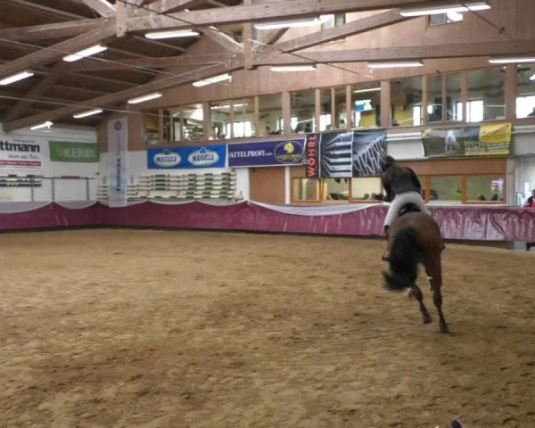 Reitturnier Eicherloh RH Laurent/Obb. 2019