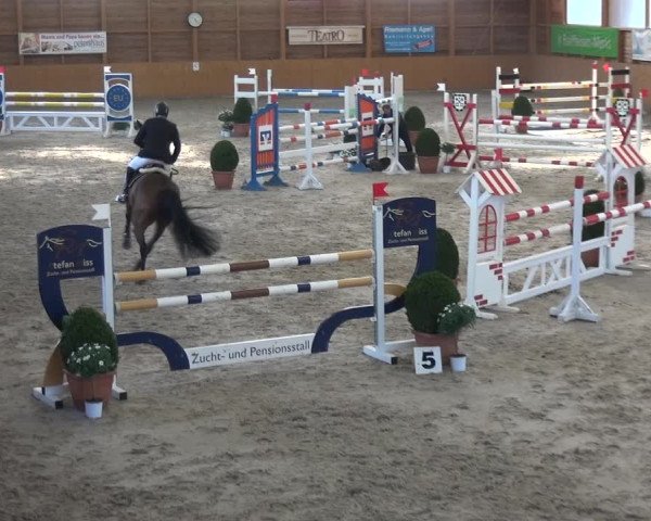 Reitturnier Xanten 2019
