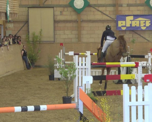 Reitturnier Friedrichshafen - Ailingen 2019