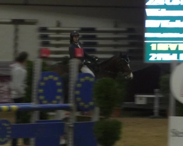 Reitturnier Eicherloh RH Laurent/Obb. 2019