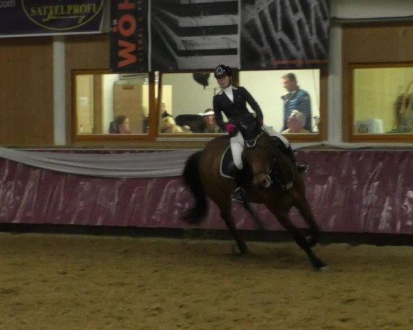 Reitturnier Eicherloh RH Laurent/Obb. 2019