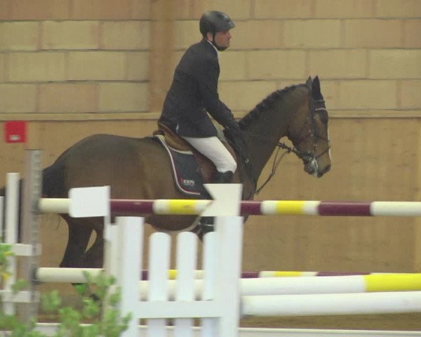 Reitturnier Friedrichshafen - Ailingen 2019