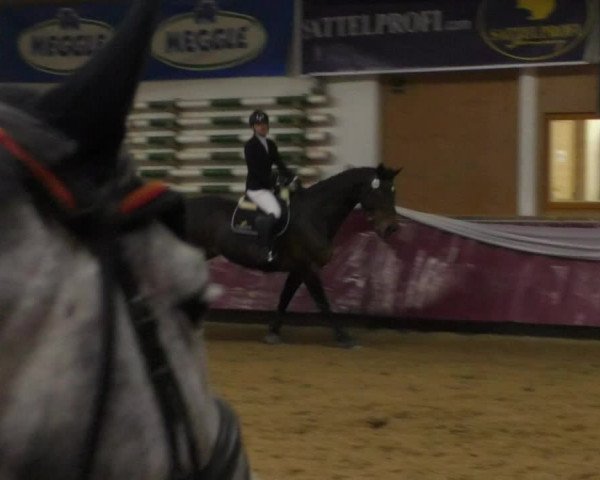 Reitturnier Eicherloh RH Laurent/Obb. 2019
