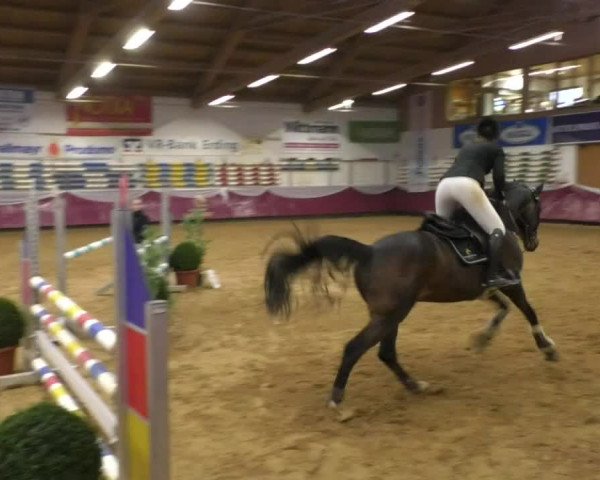 Reitturnier Eicherloh RH Laurent/Obb. 2019