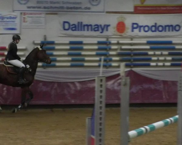Reitturnier Eicherloh RH Laurent/Obb. 2019