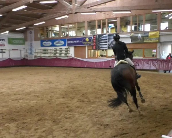 Reitturnier Eicherloh RH Laurent/Obb. 2019