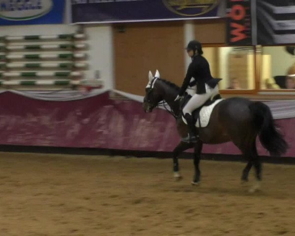Reitturnier Eicherloh RH Laurent/Obb. 2019