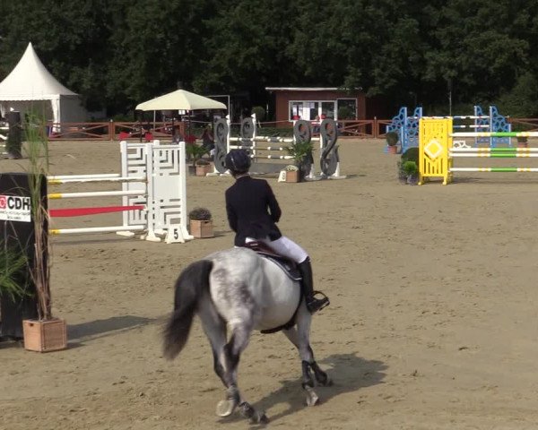 Equus Colonius - Reitanlage Brüse Köln 2021