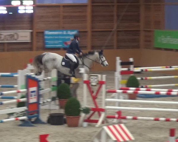 Reitturnier Xanten 2019