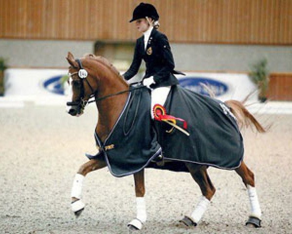 dressage horse Neervelds Blamoer (Belgian Riding Pony, 1992, from Bokkesprong Czardas)