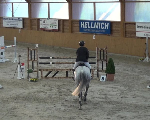 Reitturnier Xanten 2019
