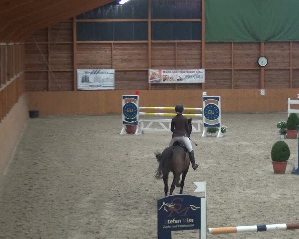 Reitturnier Xanten 2019