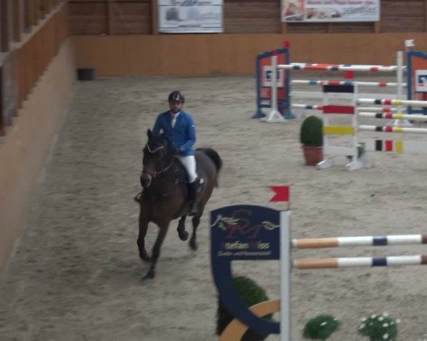 Reitturnier Xanten 2019