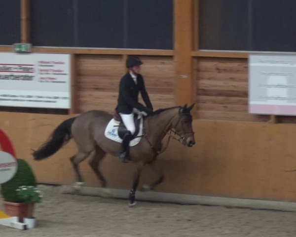 Reitturnier Xanten 2019