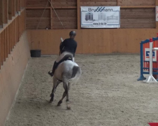Reitturnier Xanten 2019