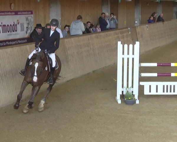 Reitturnier Friedrichshafen - Ailingen 2019