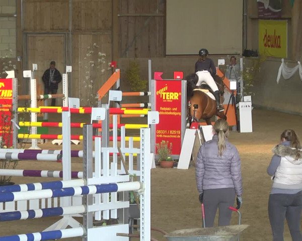 Reitturnier Friedrichshafen - Ailingen 2019