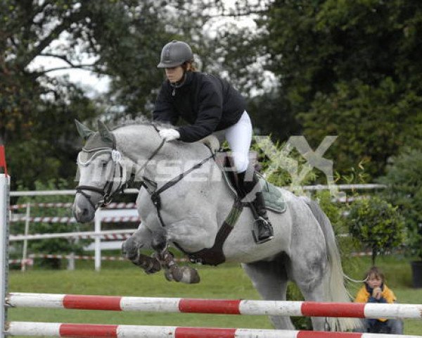 horse Gaya (Mecklenburg, 1999, from Granulit)