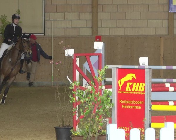Reitturnier Friedrichshafen - Ailingen 2019
