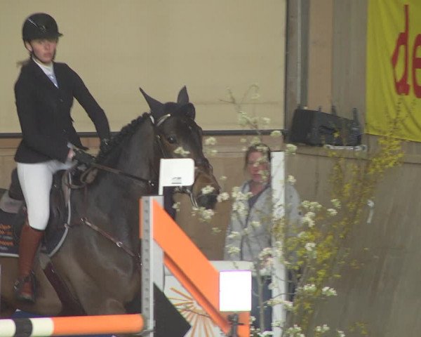 Reitturnier Friedrichshafen - Ailingen 2019